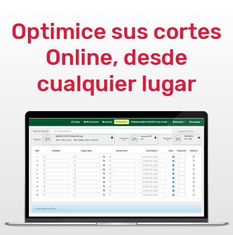 Optimizador online